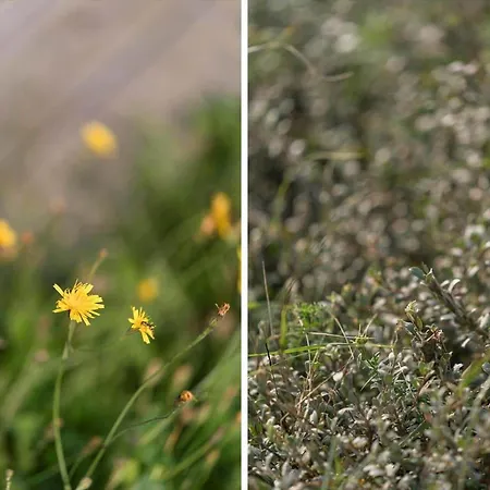 603-vestervig-magevej-13 Vakantiehuis *